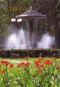 Ternopil. Flowers and fountain