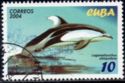 Pacific White-sided Dolphin (Lagenorhynchus obliquidens)