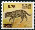 Fishing Cat (Prionailurus viverrinus)- surcharge