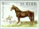 Draught Horse "King of Diamonds" (Equus ferus caballus)
