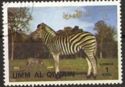 Zebra (Equus sp.)