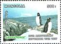 Adelie Penguin (Pygoscelis adeliae)