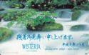 Mountain Stream - Club Wisteria / 479-2669, 403-5537