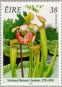 National Botanic Gardens 1795-1995 - Sarracenia x moorei