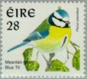 Eurasian Blue Tit (Parus caeruleus)