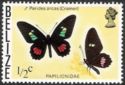 Arcas Cattleheart Butterfly (Parides arcas)