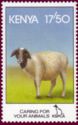 Domestic Sheep (Ovis ammon aries)