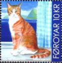 Domestic Cat (Felis silvestris catus)