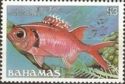 Blackbar Soldierfish (Myripristis jacobus)