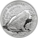 20 Złotych (Animals: Bufo calamita)