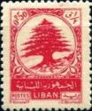 Cedar of Lebanon