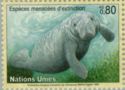 Amazonian Manatee (Trichechus inunguis)