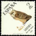 Pharaoh Eagle-Owl (Bubo desertorum)