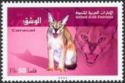 Caracal (Caracal caracal)