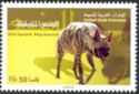 Striped Hyaena (Hyaena hyaena)