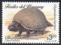 Glyptodon claripes