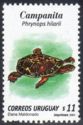 Hilaire's Toadhead Turtle (Phrynops hilarii)