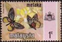 Malayan Jezebel (Delias ninus)