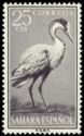 Grey Heron (Ardea cinerea)