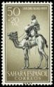 Dromedary (Camelus dromedarius), Rider