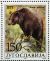 Brown Bear (Ursus arctos)