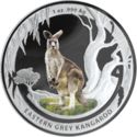 1 Dollar (Eastern Grey Kangaroo)