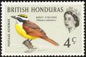Great Kiskadee (Pitangus sulphuratus)
