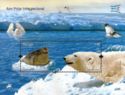 Ringed Seal (Phoca hispida), Polar Bear (Ursus maritimus)
