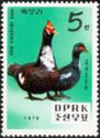 Stamp:-Muscovy-Duck-(Cairina-moschata)-(Korea,-North)
