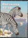 Burchell's Zebra (Equus burchelli)