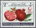 Pomegranate (Punica granatum), overprinted