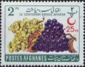 Grapes (Vitis vinifera), overprinted