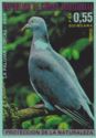 Common Wood-Pigeon (Columba palumbus)