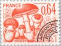 Oronge (Amanita caesarea)