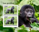 Western Gorilla (Gorilla gorilla)