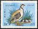 Chukar Partridge (Alectoris chukar)