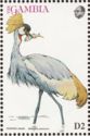 Grey Crowned Crane (Balearica pavonina)