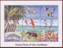 Fauna Flora of the Caribbean