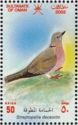 Eurasian Collared Dove (Streptopelia decaocto)
