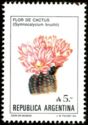 Flor de Cactus (Gymnocalycium bruchii)