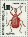 Hazel-leaf Roller Weevil (Apoderus coryli)