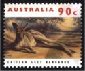 Eastern Grey Kangaroo (Macropus giganteus)