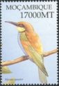 European Bee-eater (Merops apiaster)