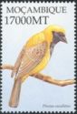 Village Weaver (Ploceus cucullatus)