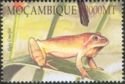 Spring Peeper (Hyla crucifer)