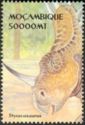 Styracosaurus