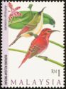 Temminck's Sunbird (Aethopyga temminckii)