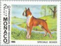 German Boxer (Canis lupus familiaris)