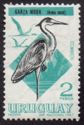 Cocoi Heron (Ardea cocoi)