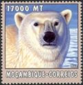 Polar Bear (Ursus maritimus)